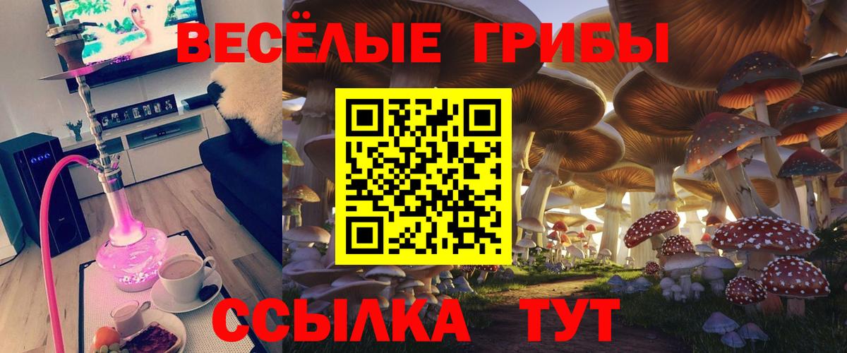 Галлюциногенные грибы ЛСД  купить наркотики цена  Лабинск  Вход с VPN 
